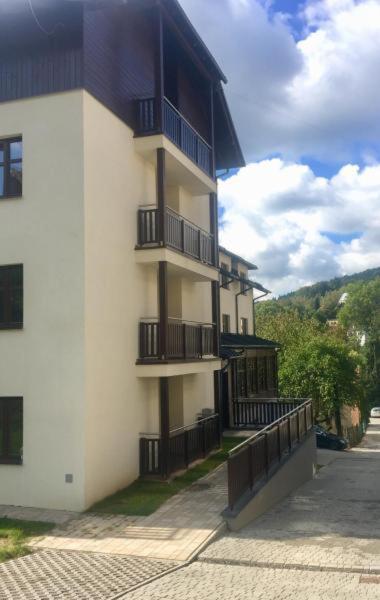 Gold Apartments Your Holiday Home Rodzinny 3 Криница-Здруй Екстериор снимка
